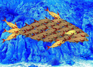 Zusammen sind wir stark